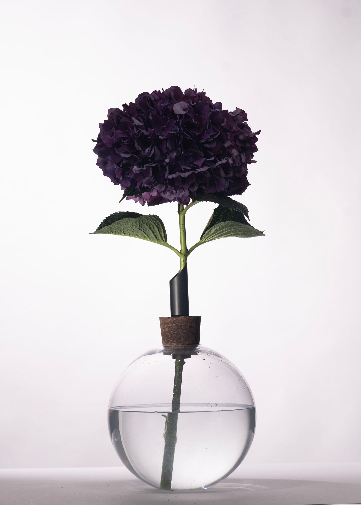 Wholesale Glasilium Vase Neon Blue