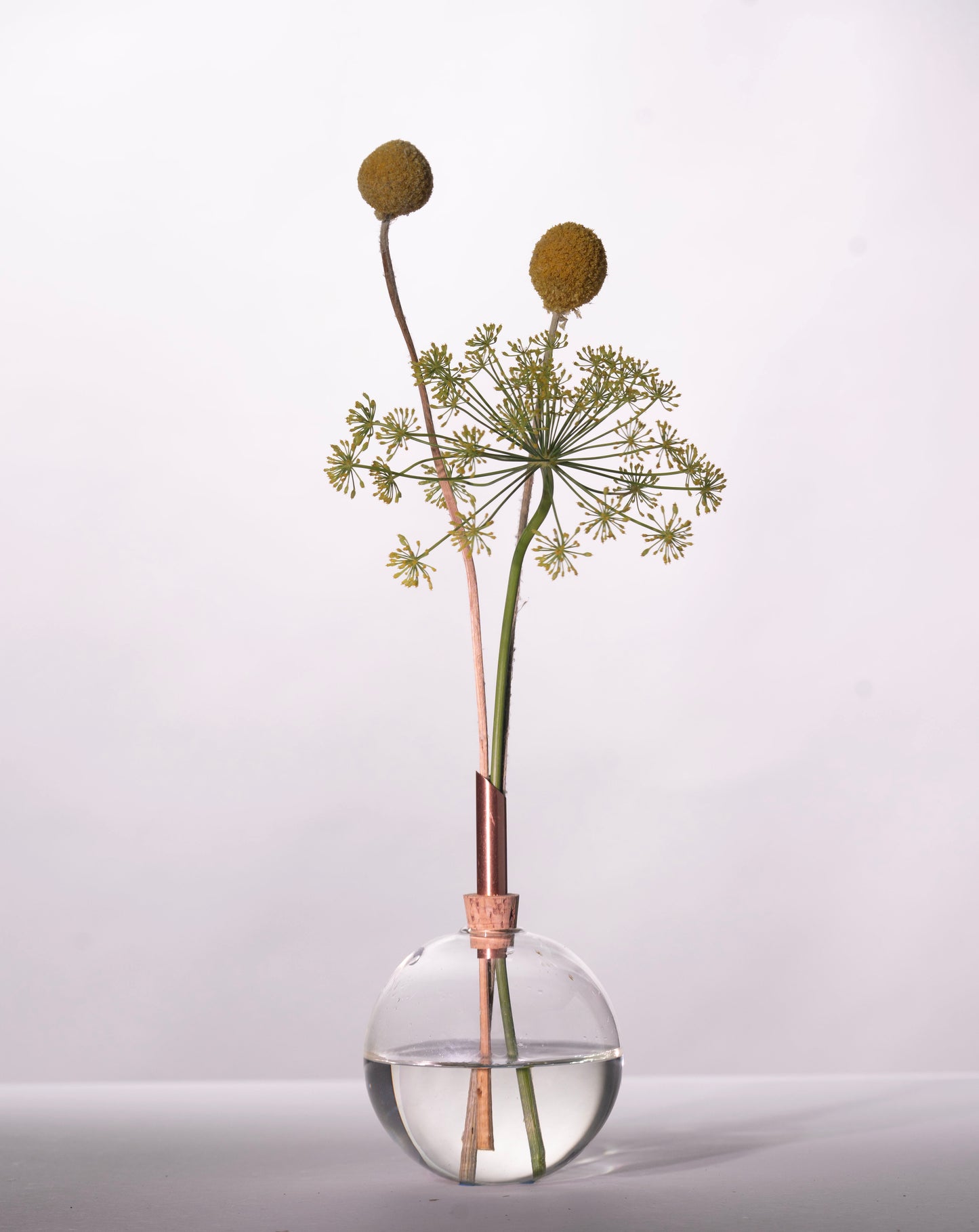 グラシリウム花瓶 ライムグリーン